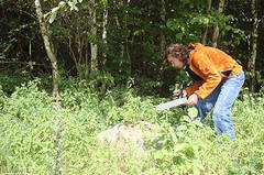 Schüler beim Geocaching