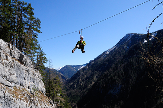 Flying Fox